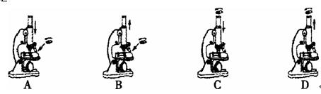 显微镜 raoxue.com